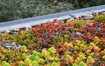 the cost of Guist green roof installation