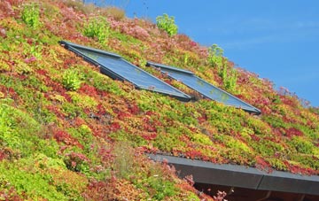 Guist living roof systems